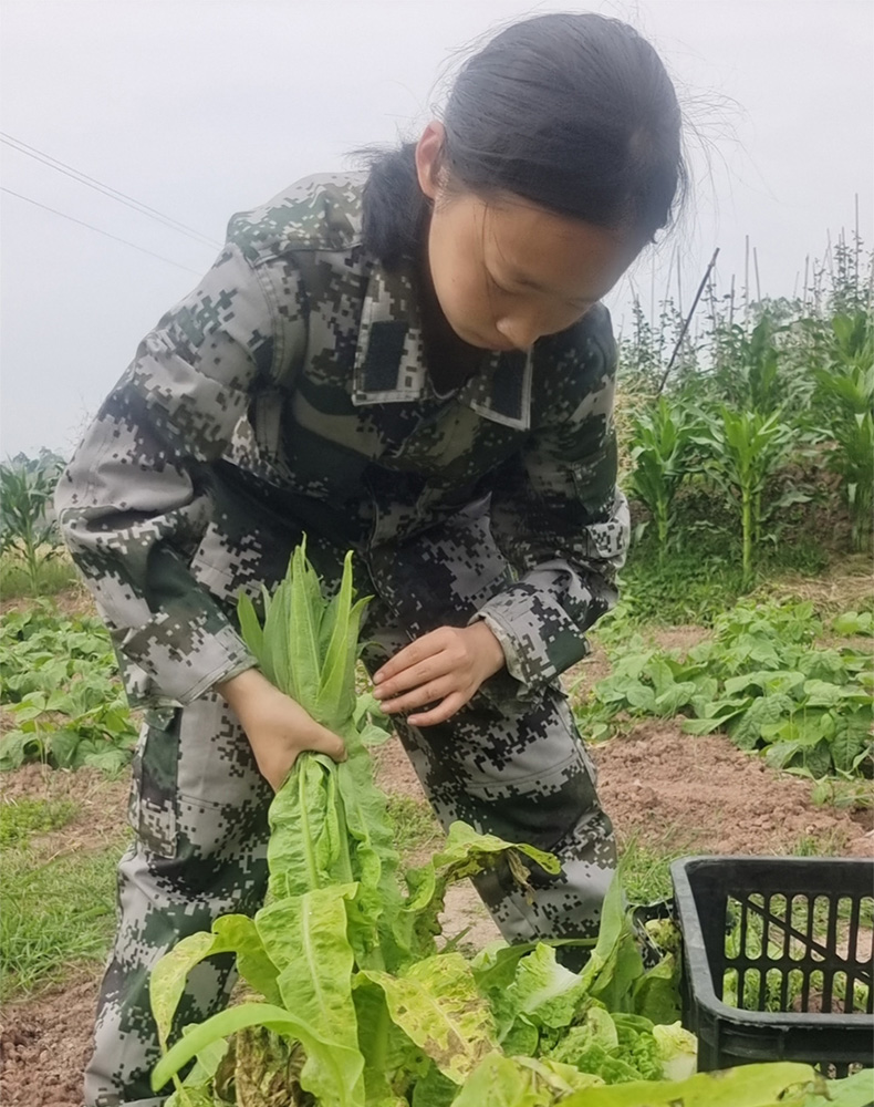 收獲滿滿